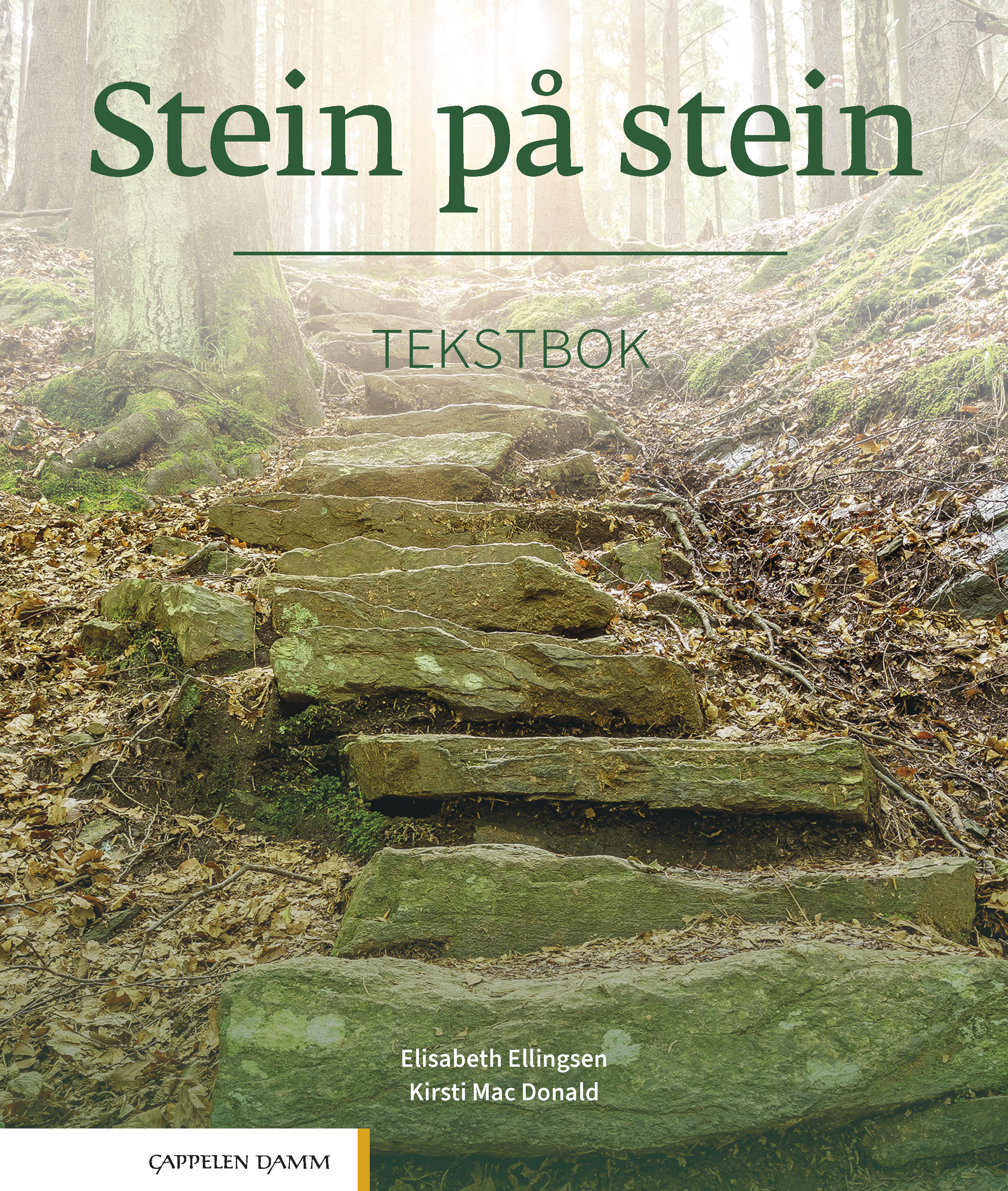 Stein på stein: Tekstbok - Norsk og samfunnskunnskap for voksne innvandrere, nivå B1