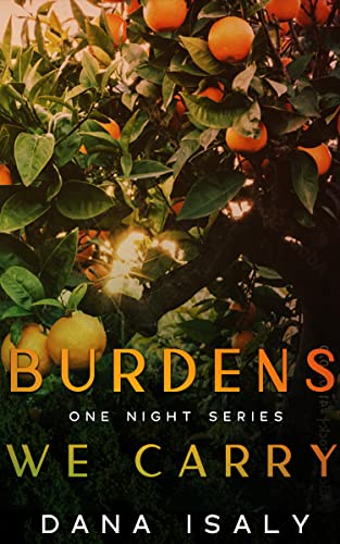 Burdens We Carry (One Night, #3)