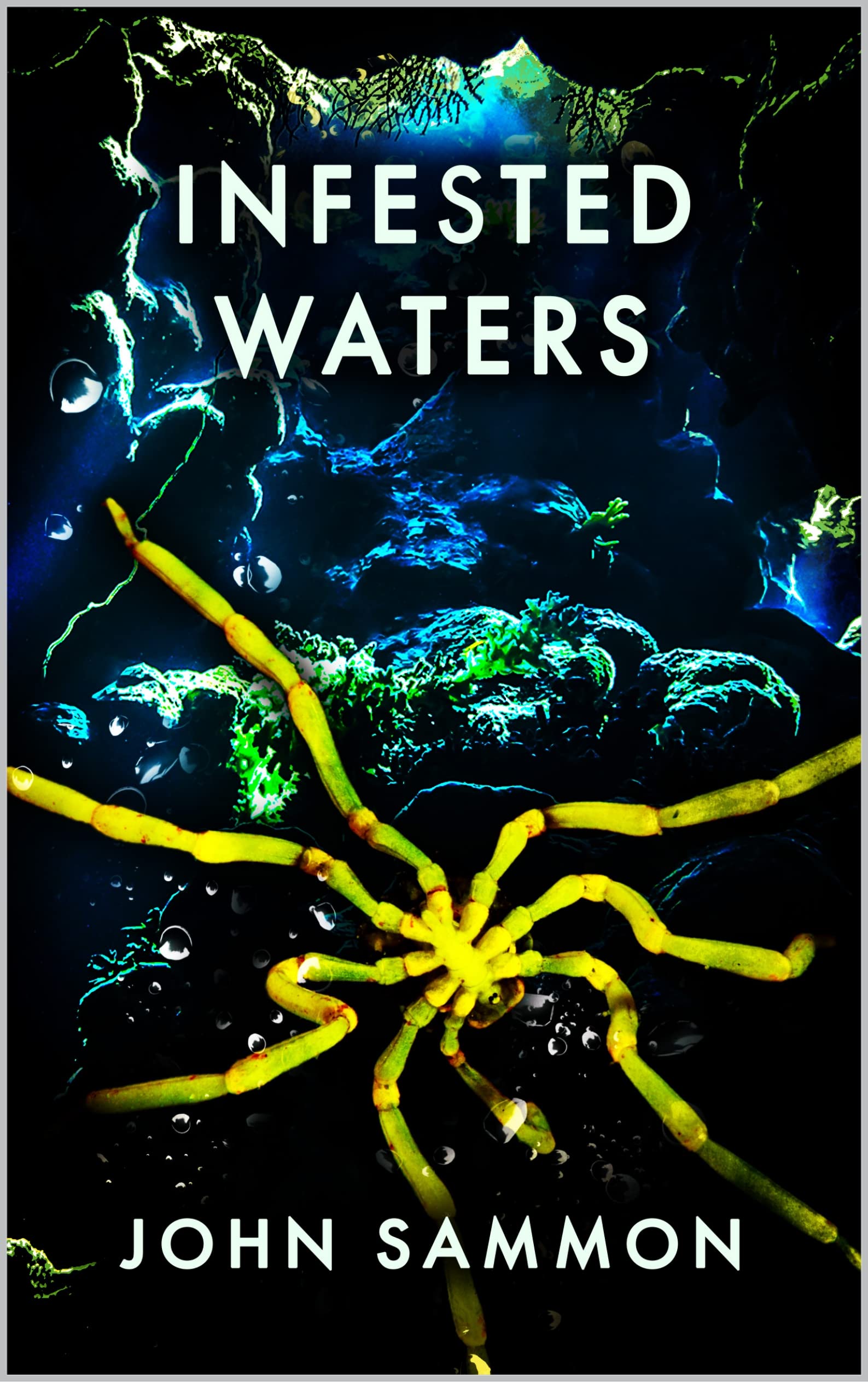 Infested Waters (Kindle Edition)