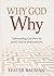 Why God Why? Understanding God When He Doesn't Seem to Unders... by Lester Bauman