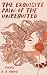 The Exquisite Pain of the Unrequited by J.R. Rogue
