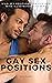 GAY SEX POSITIONS: WILD SEX...