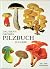 Dausien's Grosses Pilzbuch ...