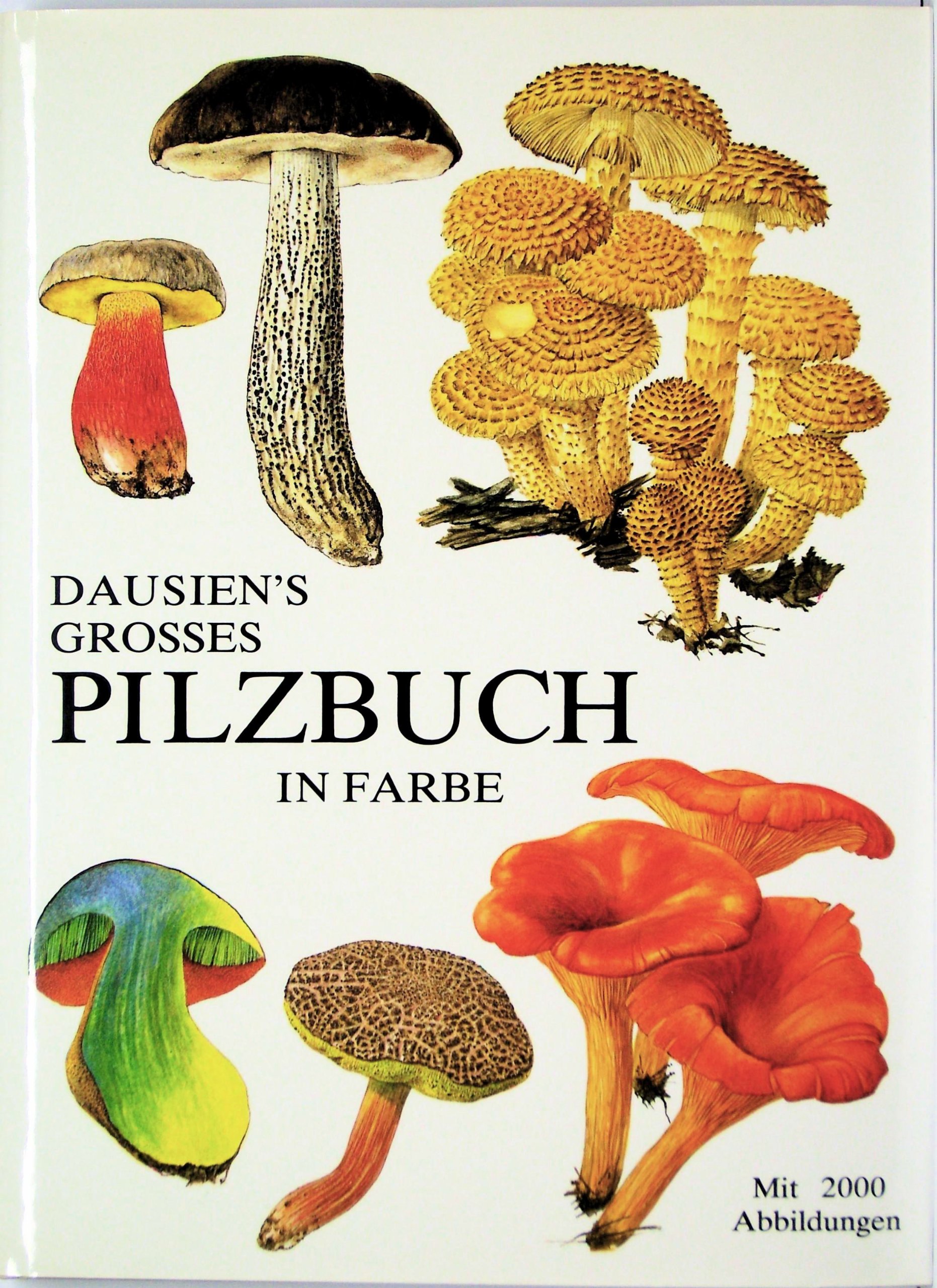 Dausien's Grosses Pilzbuch in Farbe