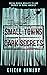 Small Towns, Dark Secrets by Eileen Ormsby
