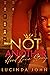 Not Another Hood Love Story by Lucinda John