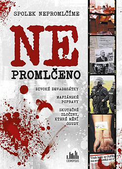 Ne/promlčeno (Paperback)