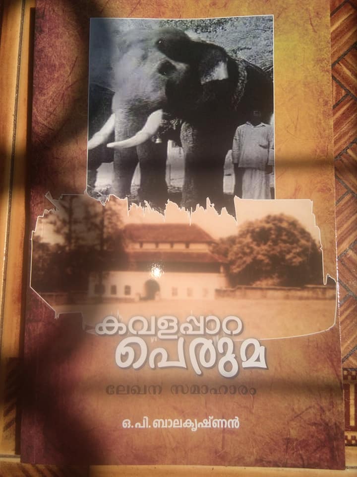 കവളപ്പാറ പ്പെരുമ (Paperback)