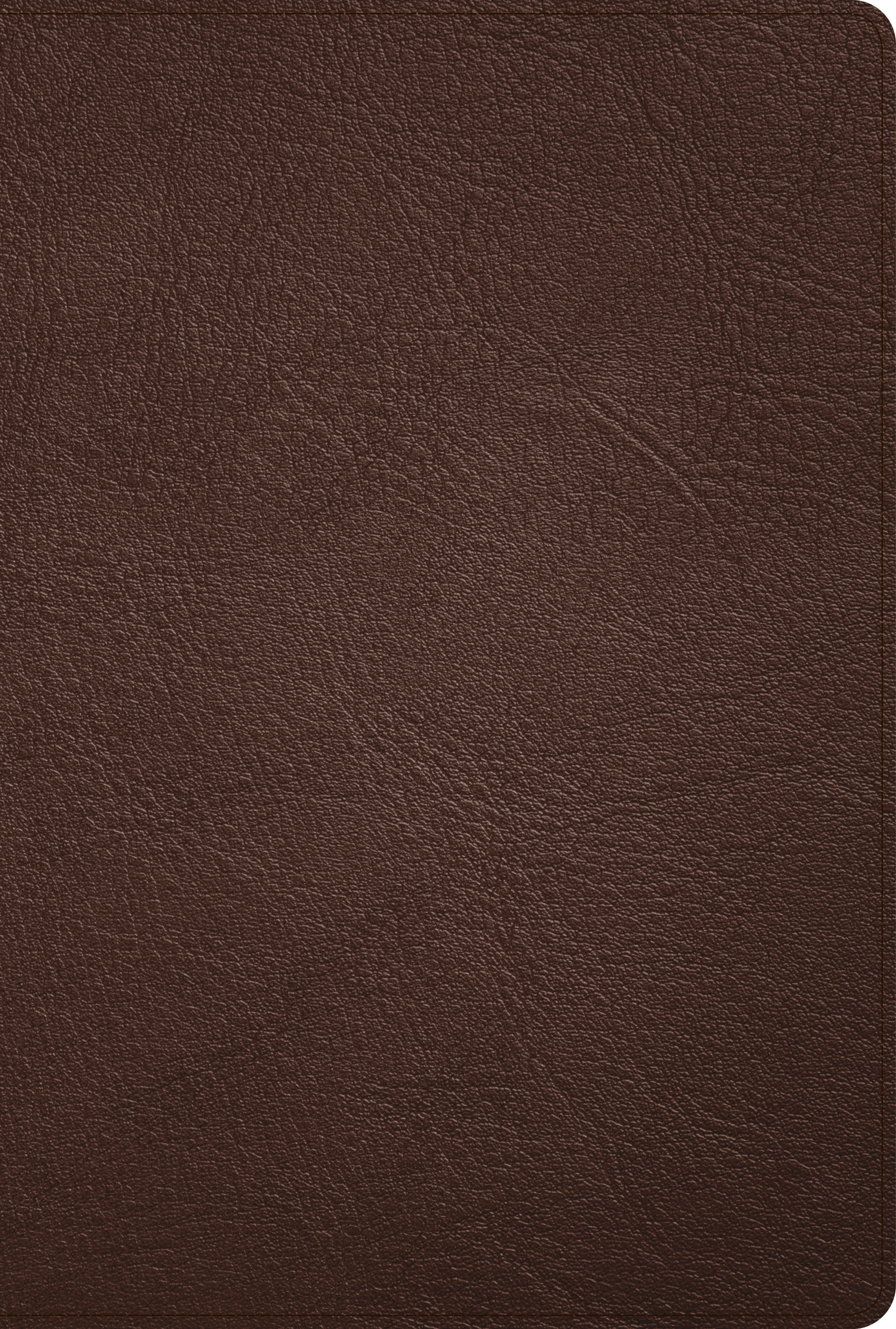 KJV Large Print Thinline Bible, Holman Handcrafted Collection, Brown Premium Goatskin, Red Letter, Pure Cambridge Text, Presentation Page, Full-Color Maps, Easy-to-Read Bible MCM Type