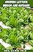 GROWING LETTUCE INDOOR AND ...