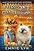 Furgone Conclusion (Mint Chocolate Chip Mysteries Book 5)