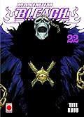 Bleach, vol. 22