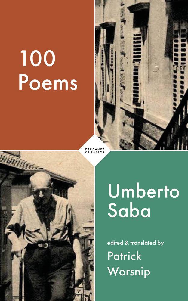 100 Poems (Carcanet Classics)
