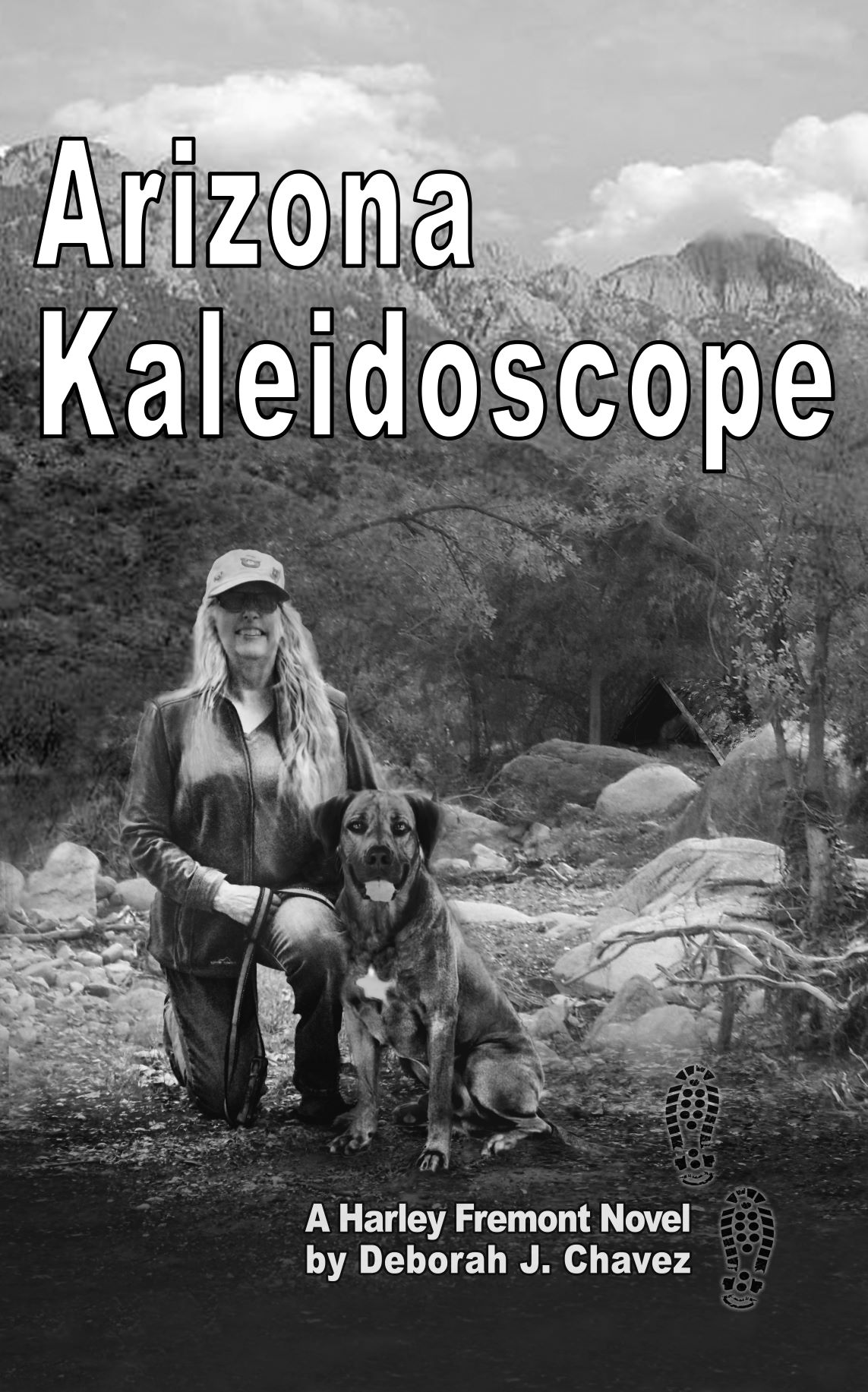 Arizona Kaleidoscope (a Harley Fremont Novel, #6)
