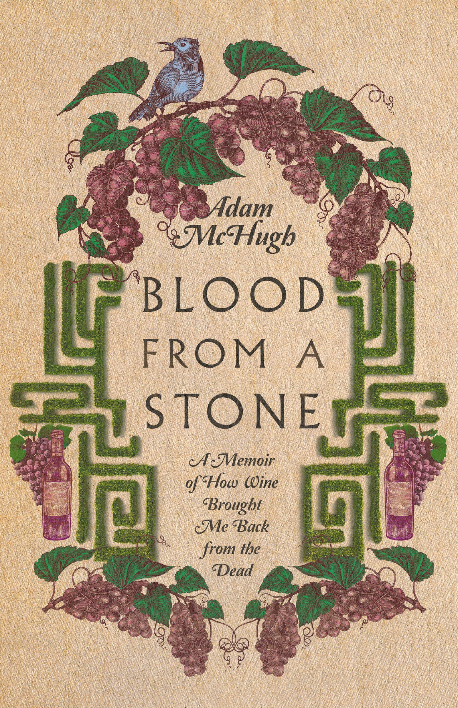 Blood From a Stone: A Memoir of How Wine Brought Me Back from the Dead (Paperback)