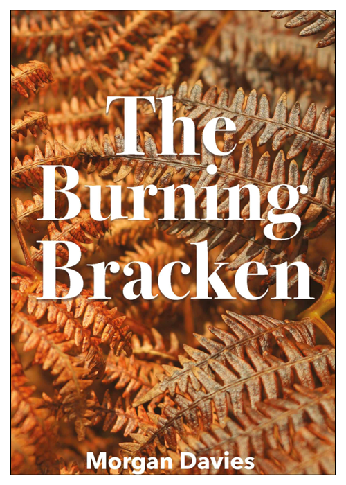 The Burning Bracken (Paperback)