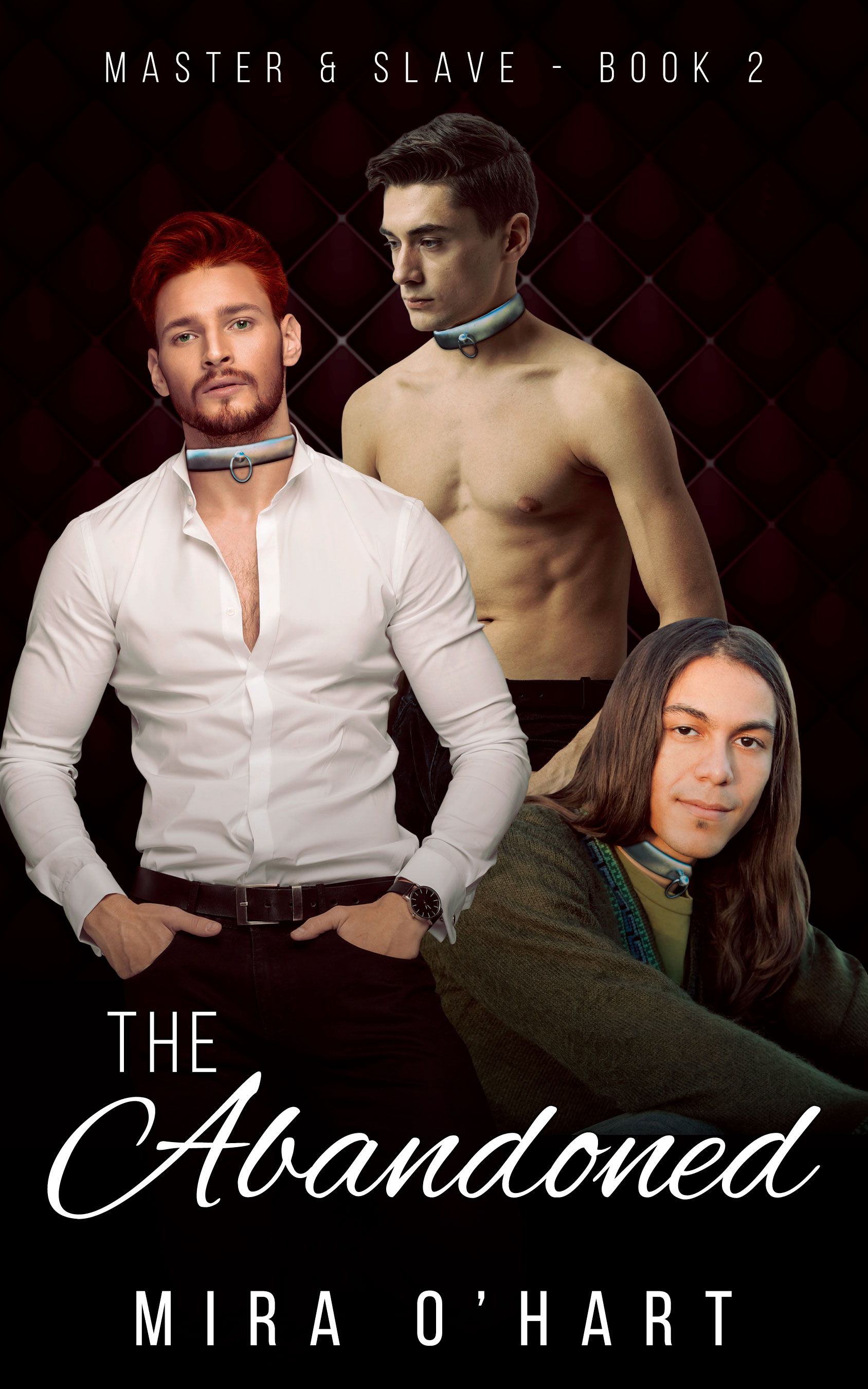 The Abandoned (Master and Slave # 2)