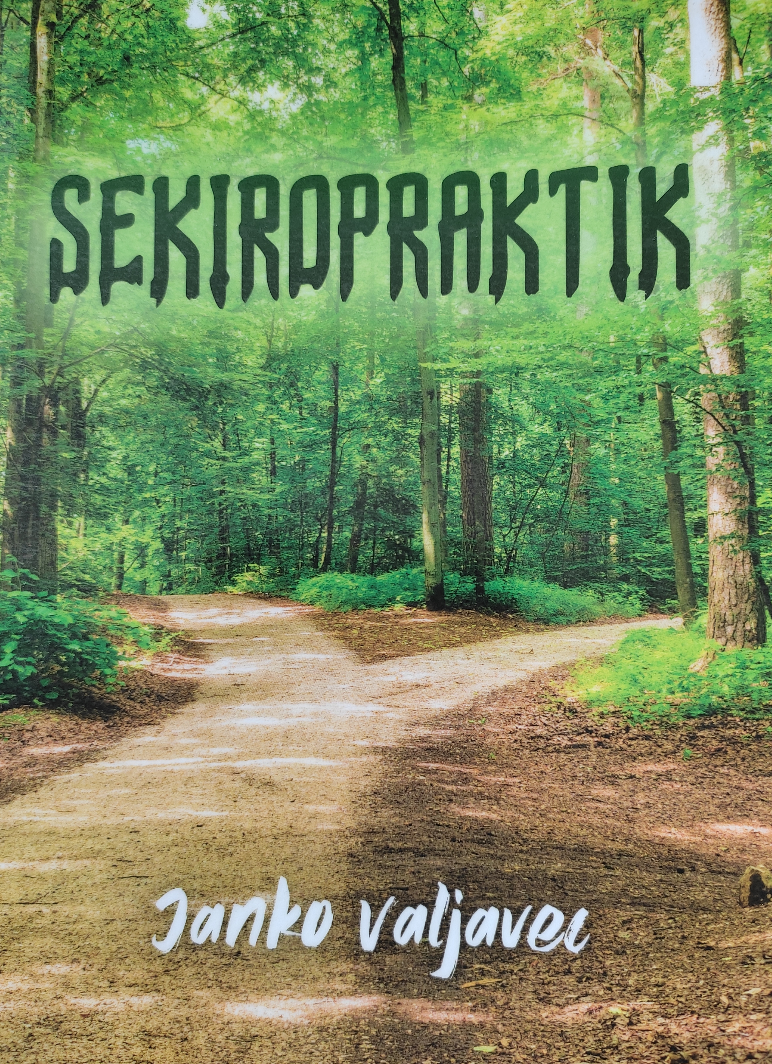 Sekiropraktik
