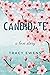 Candidate (A Love Story #2)
