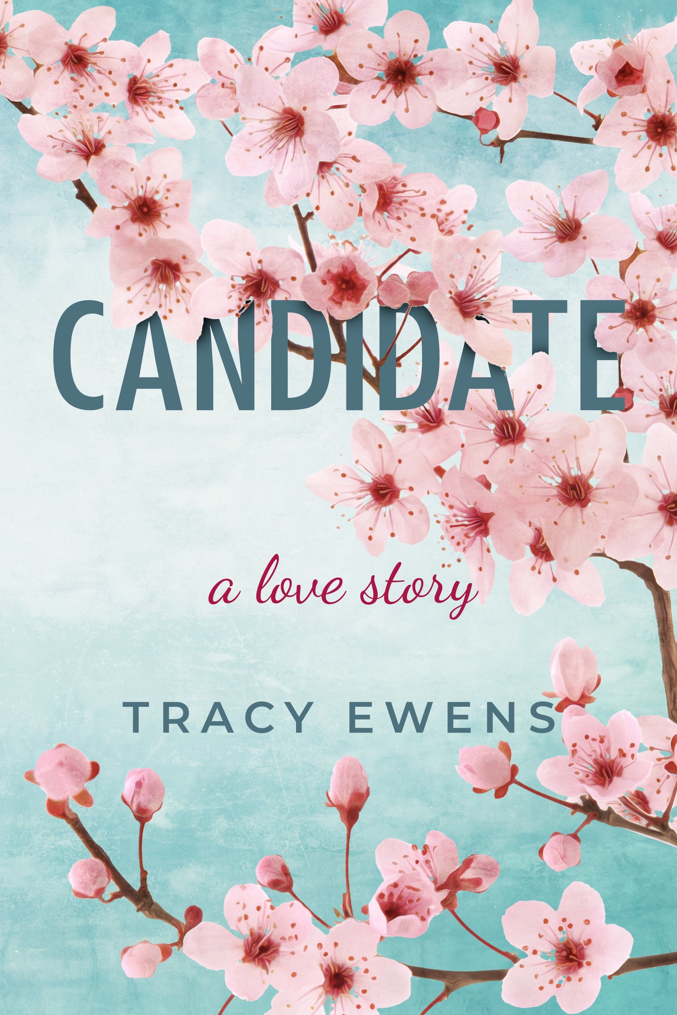 Candidate (A Love Story #2)