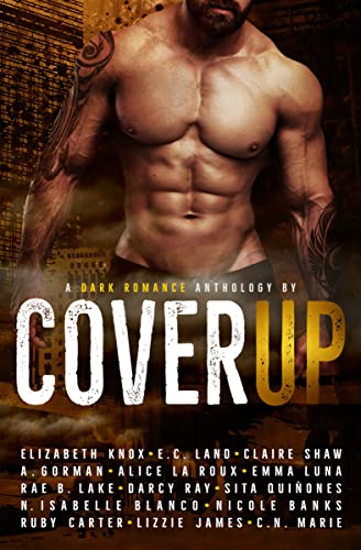 Cover Up (Kindle Edition)