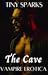 The Cave Vampire Erotic Story