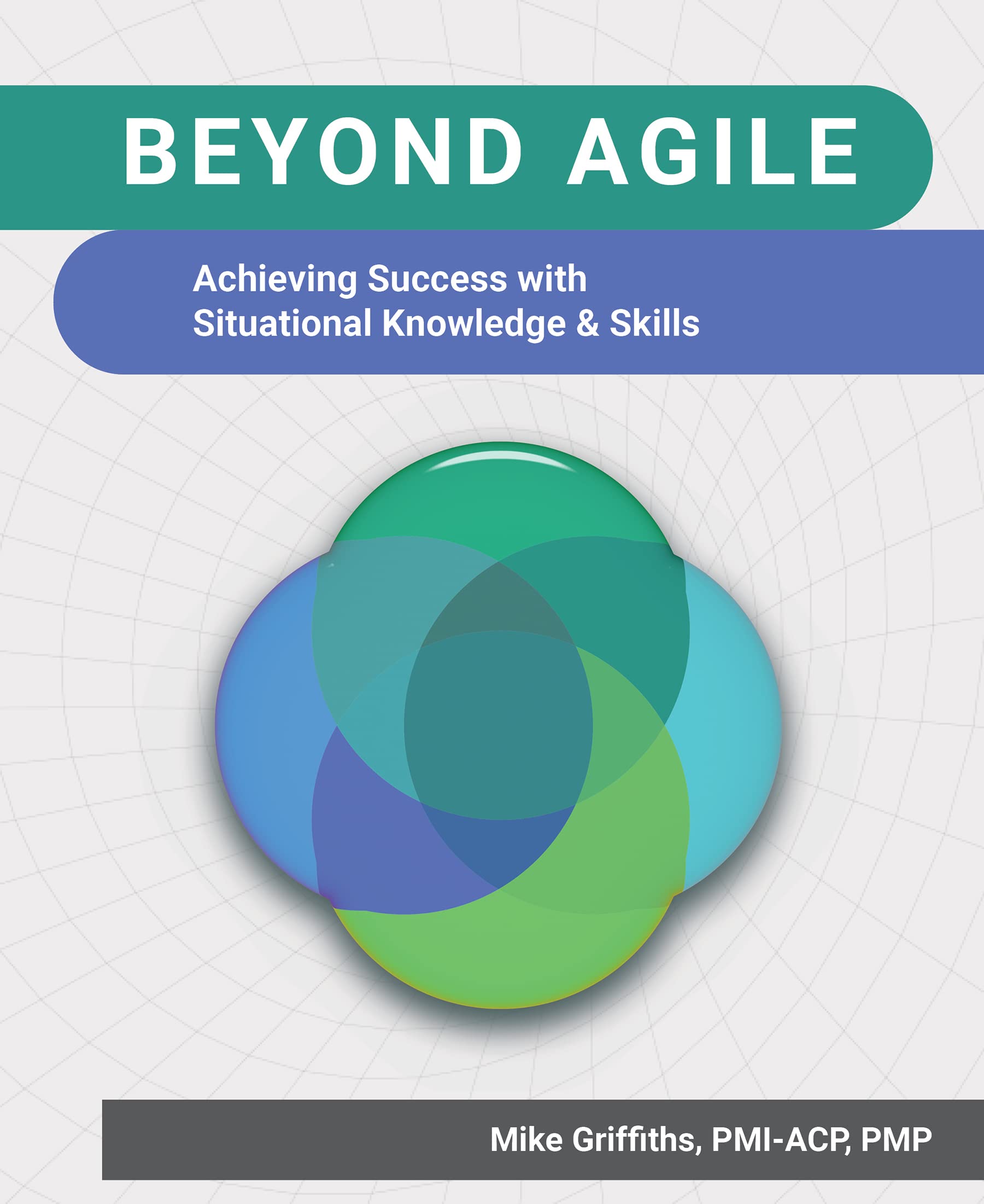 Beyond Agile: Achieving Success with Situational Knowledge and Skills (Kindle Edition)