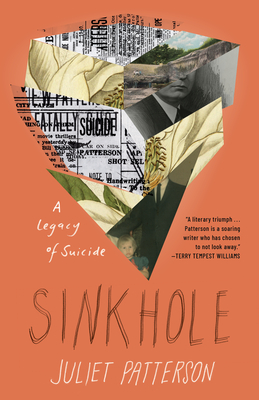 Sinkhole: A Legacy of Suicide (Hardcover)