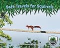 Safe Travels for Squirrels