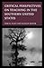 Critical Perspectives on Teaching in the Southern United States by Tori K. Flint