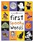 First 100 Spooky Words: A padded book―perfect for little hands to hold