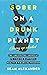 Sober On A Drunk Planet: Giving Up Alcohol (Quit lit, #1)