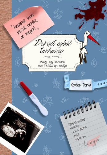 Derült égből terhesség - Avagy egy kismama nem hétköznapi naplója (Paperback)