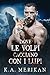 Dove le volpi cacciano con i lupi (Folklore #2)