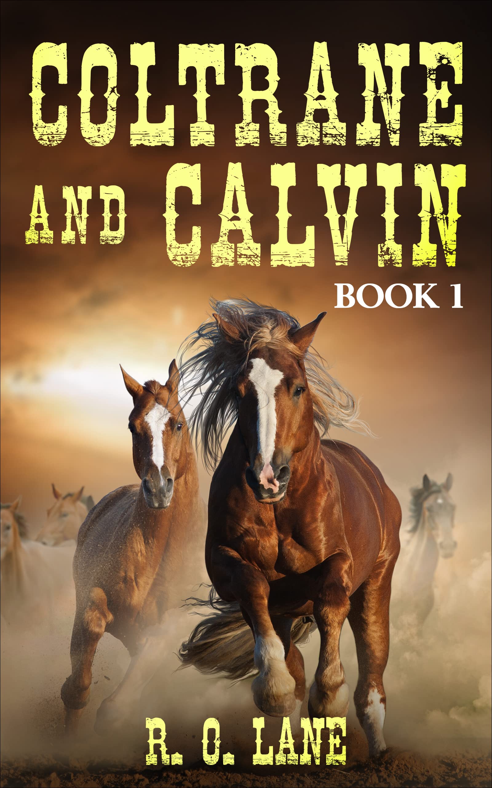 Coltrane and Calvin, #1 (Kindle Edition)