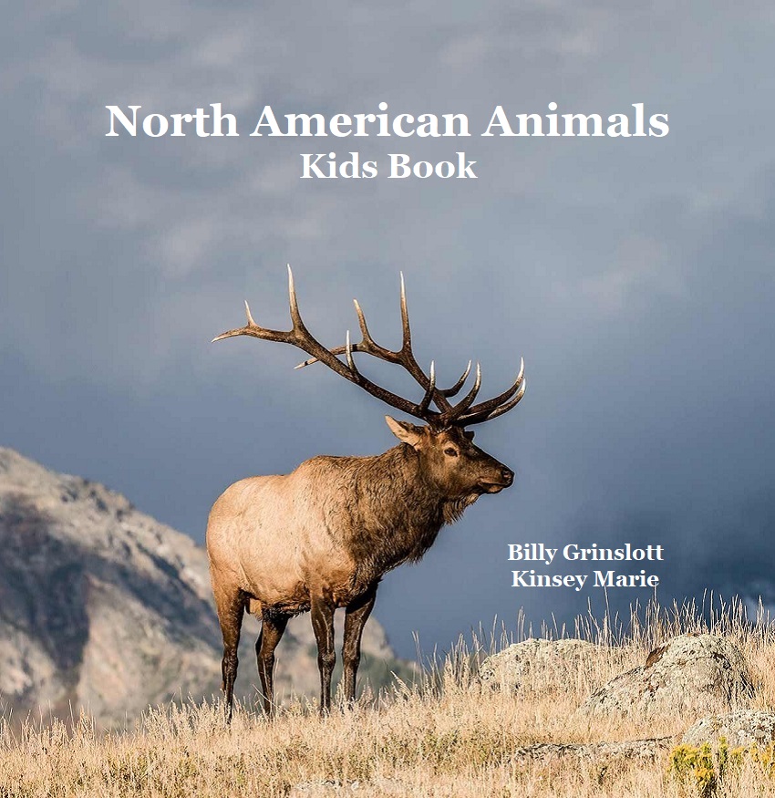 North American Animals Kids Book
