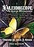 Kaleidoscope A Queer Anthology by Max   Turner