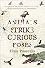 Animals Strike Curious Poses