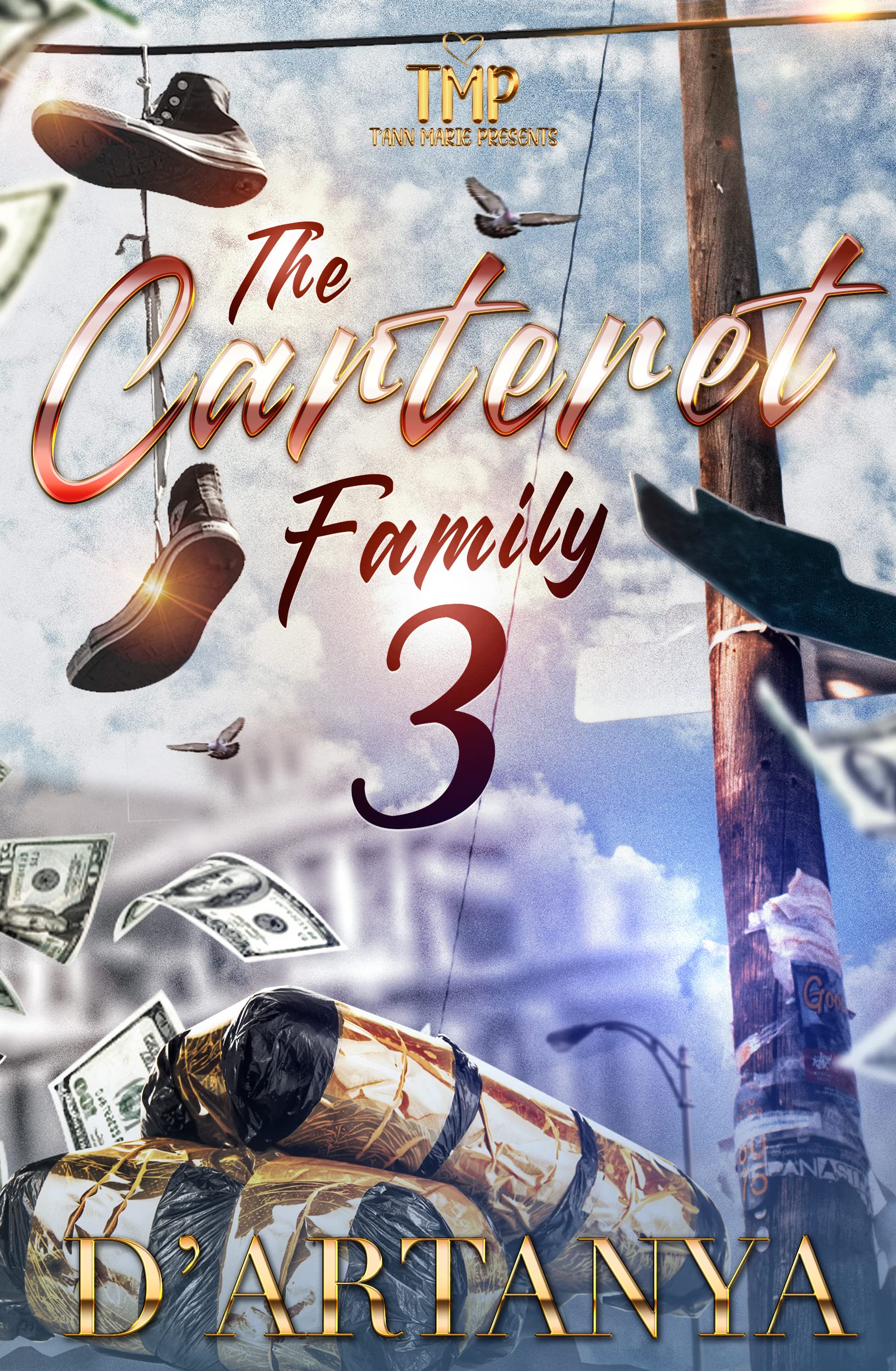 THE CARTERET FAMILY 3 (The Carteret Family Series)