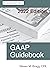 GAAP Guidebook: 2022 Edition