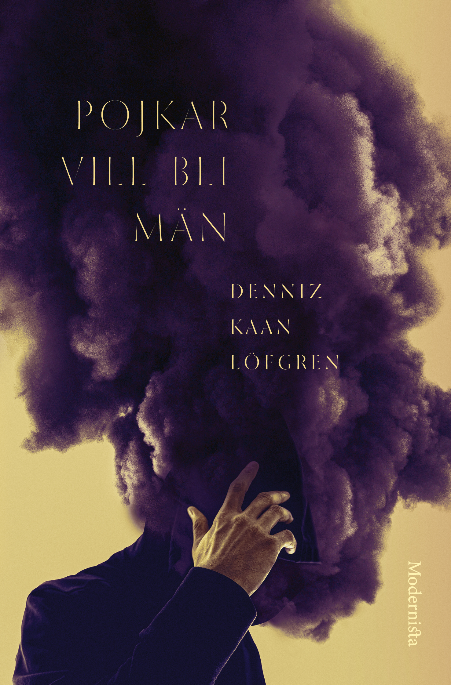 Pojkar vill bli män (Hardcover)