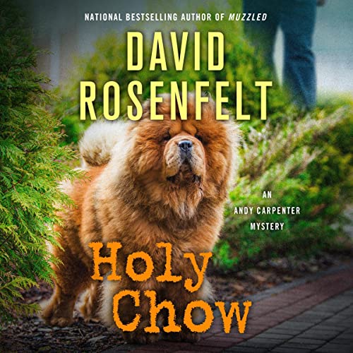 Holy Chow (Andy Carpenter, #25)