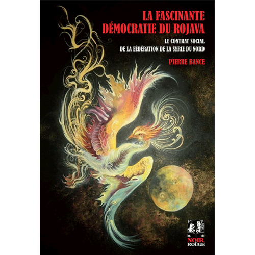 La fascinante démocratie du Rojava (Paperback)
