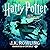 Harry Potter and the Goblet of Fire (Harry Potter, #4) by J.K. Rowling