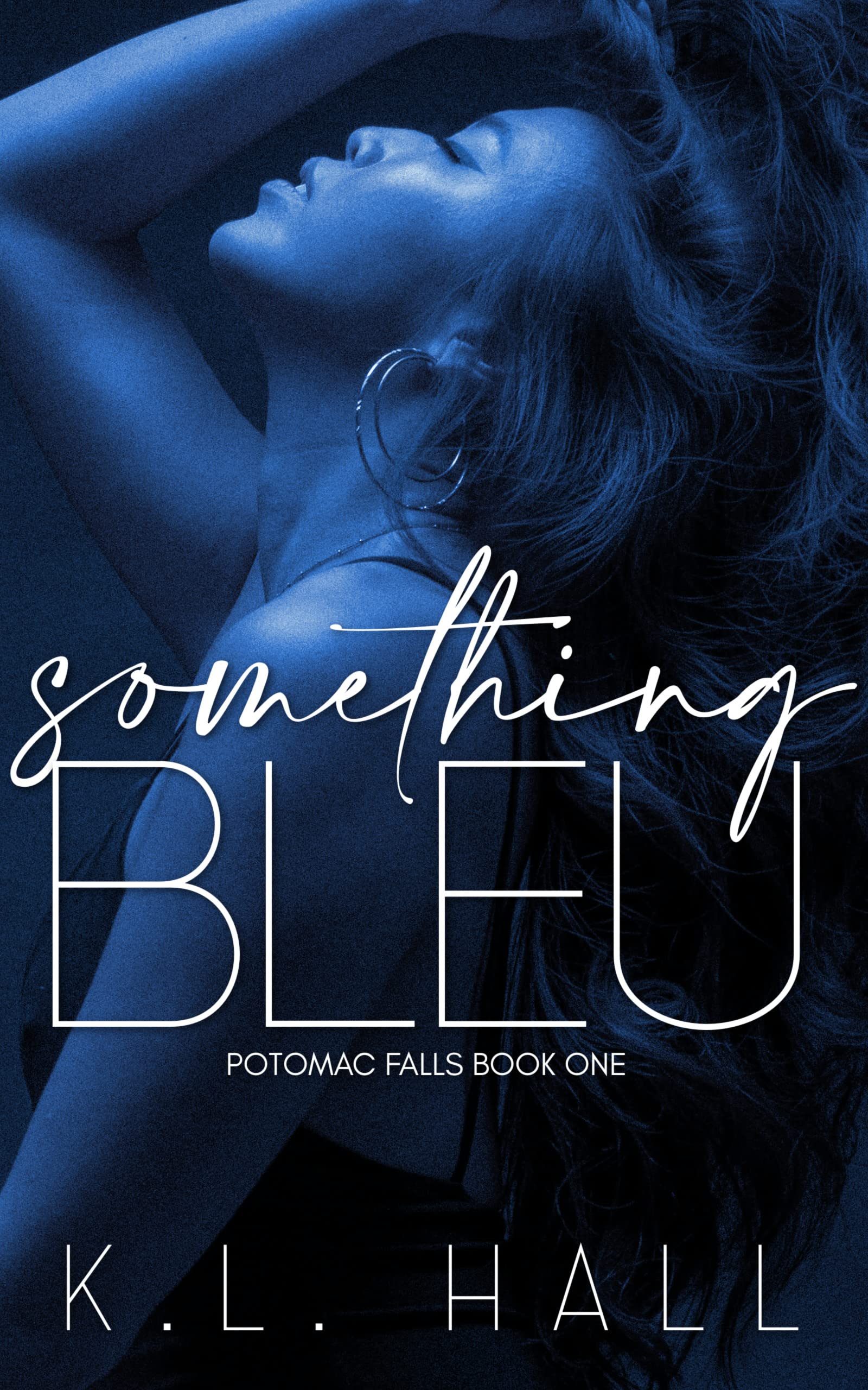 Something Bleu: Potomac Falls Book One (Kindle Edition)
