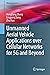 Unmanned Aerial Vehicle Applications over Cellular Networks for 5G and Beyond (Wireless Networks)