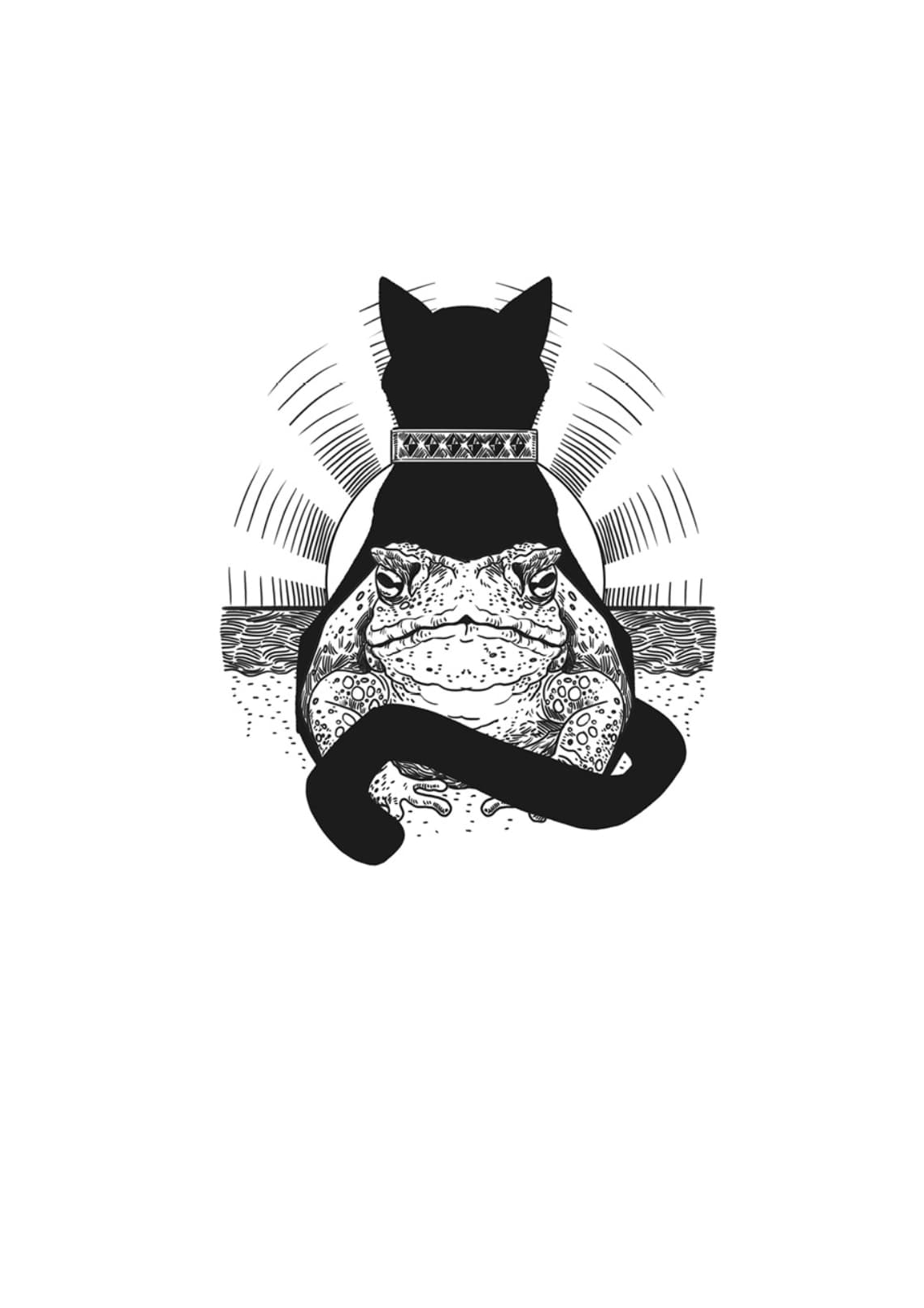 Nie oceniaj kota po rozmiarze (ebook)