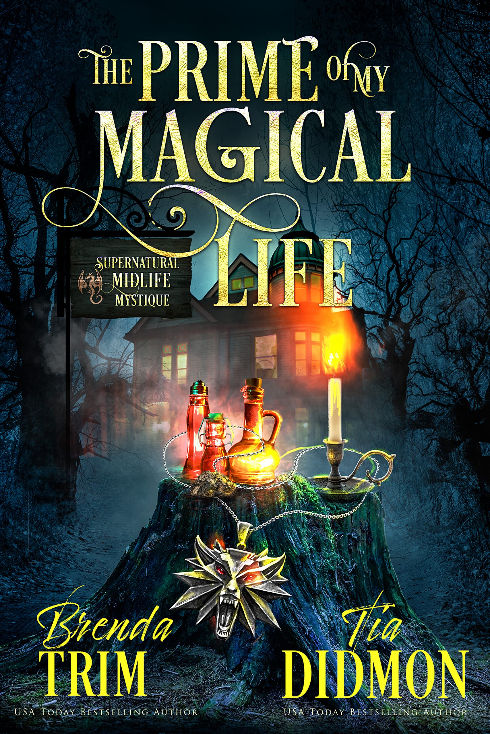 The Prime of My Magical Life (Shrouded Nation #1)