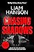 CHASING SHADOWS (A DCI Reec...