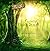 The Enchanted Faerie Realm